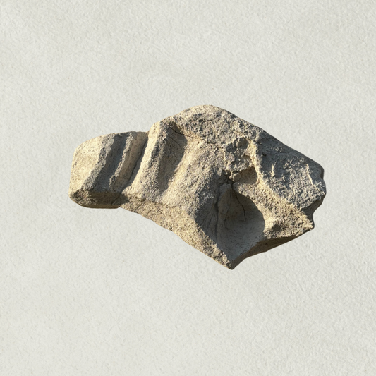 No.  7